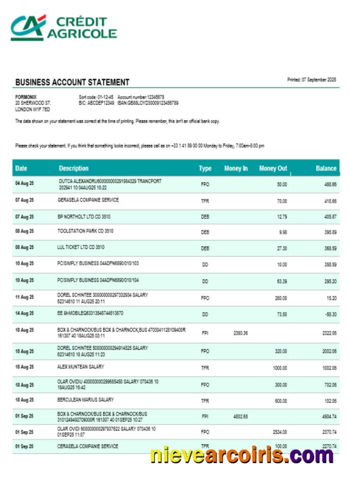 Credite Agricole company checking account statement